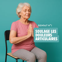 Le Yoga sur Chaise pour Seniors (E-Book)